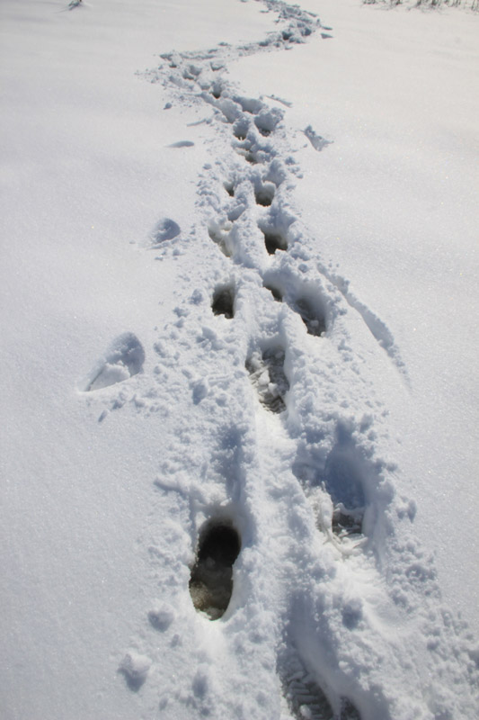 ������� 2018 ���� 9