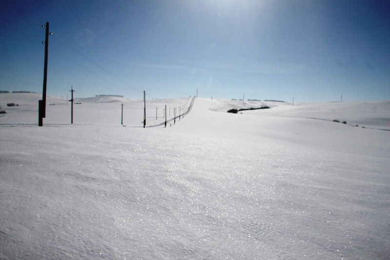 ������� 2018 ���� 2