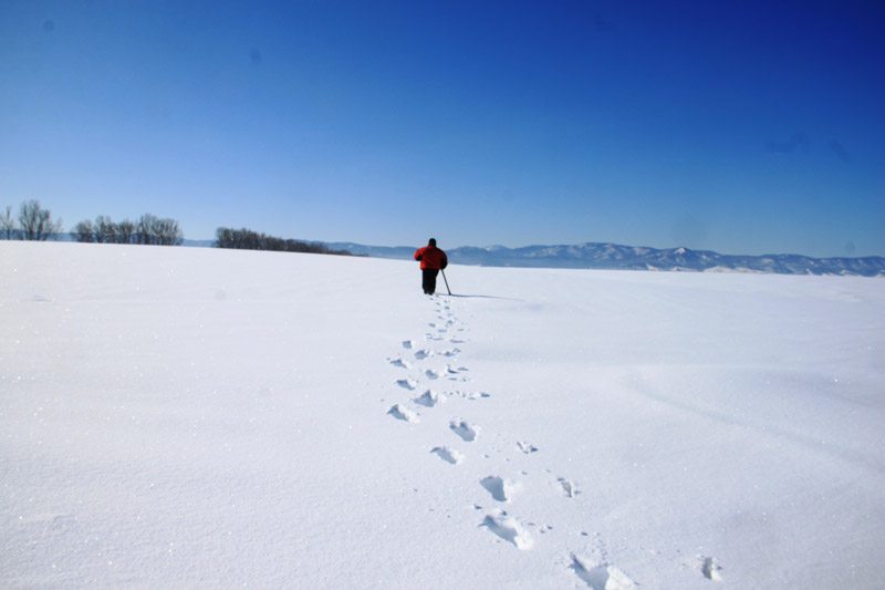 ������� 2018 ���� 3