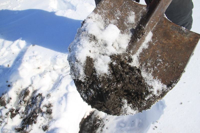 ������� 2018 ���� 5