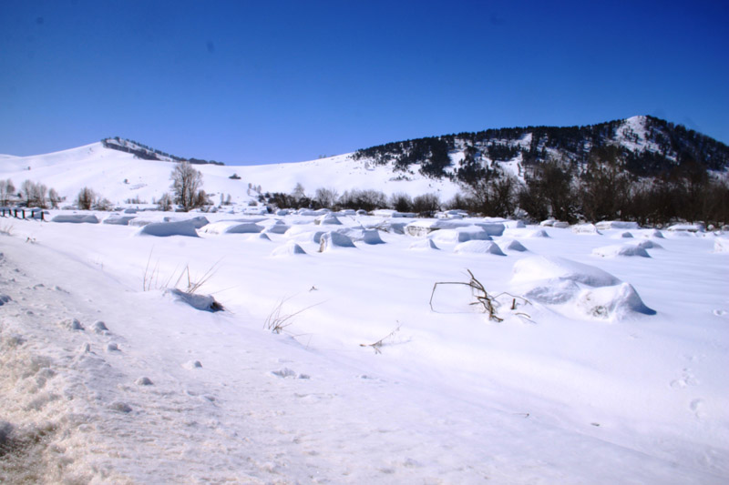 ������� 2018 ���� 6