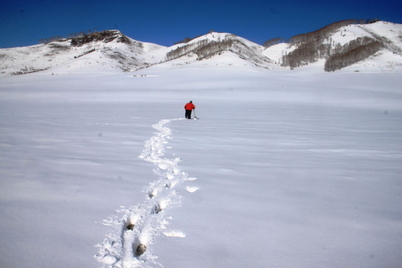 ������� 2018 ���� 8